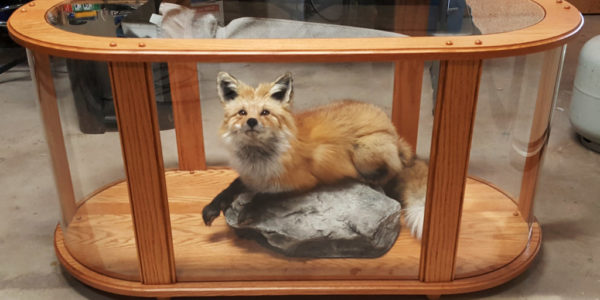 Fox display 